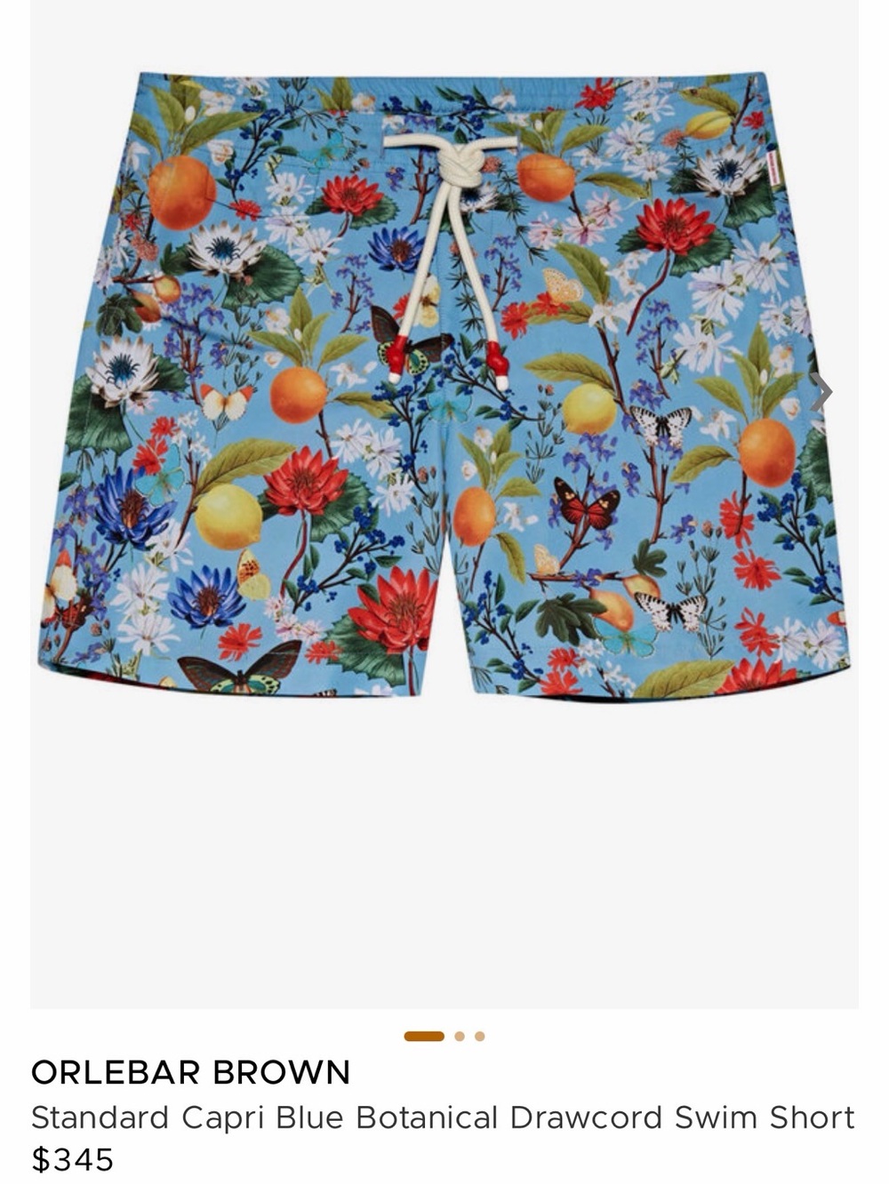 Orlebar Brown Blue Botanical Floral Drawcord Swim Trunks
